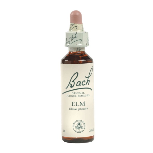 [25054064] Bach Flower Elm