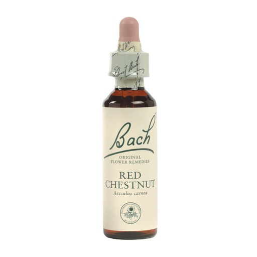 [25054217] Bach Flower Red Chestnut